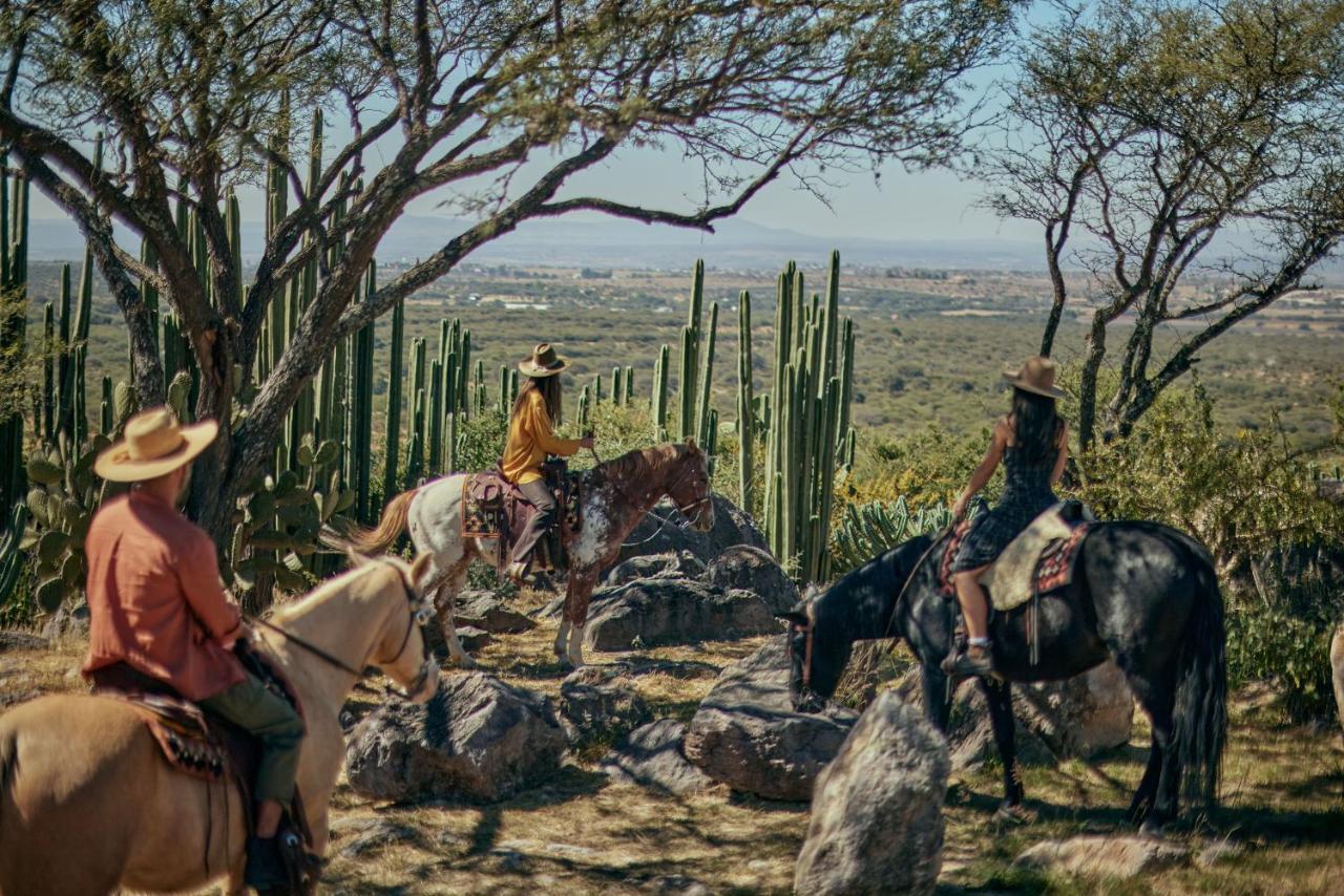 Our Habitas San Miguel De Allende Bandita 외부 사진