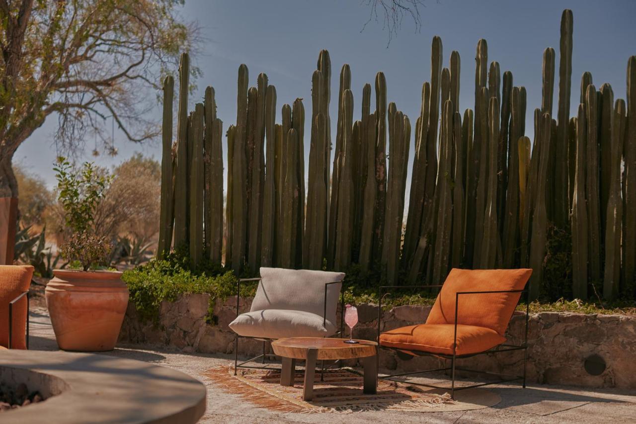 Our Habitas San Miguel De Allende Bandita 외부 사진