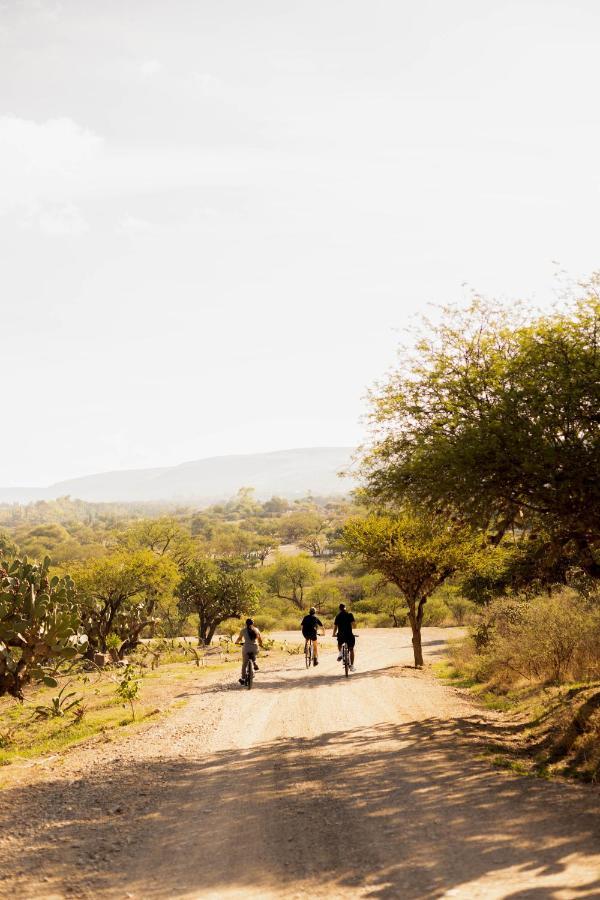 Our Habitas San Miguel De Allende Bandita 외부 사진