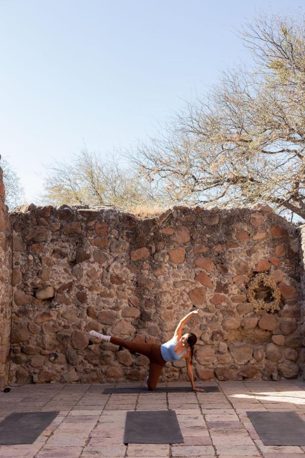 Our Habitas San Miguel De Allende Bandita 외부 사진