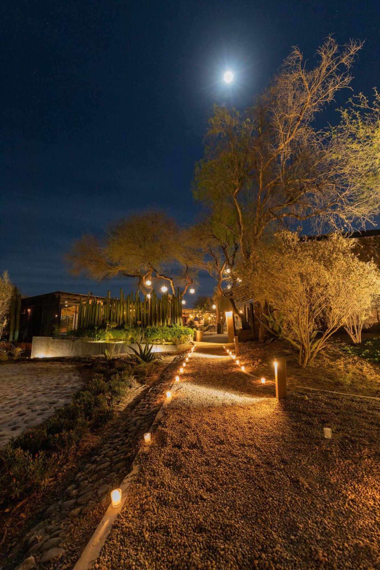Our Habitas San Miguel De Allende Bandita 외부 사진