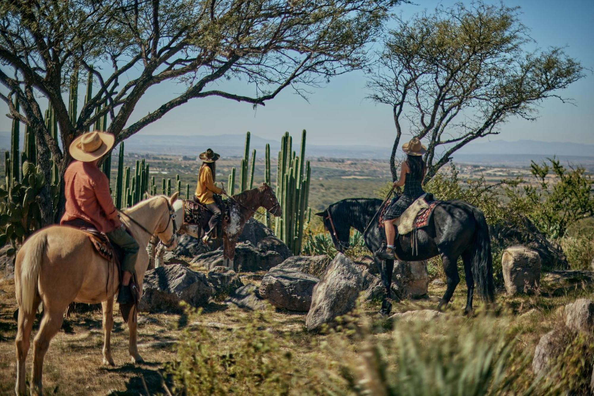 Our Habitas San Miguel De Allende Bandita 외부 사진